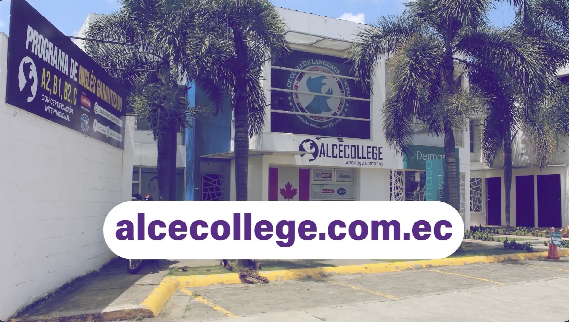 Testimonio Alce College